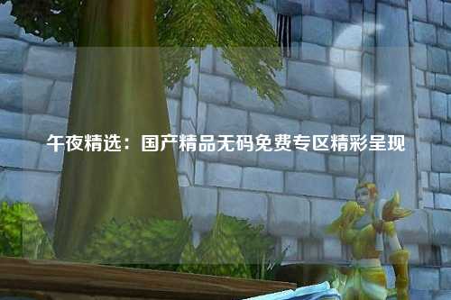 午夜精选：国产精品无码免费专区精彩呈现