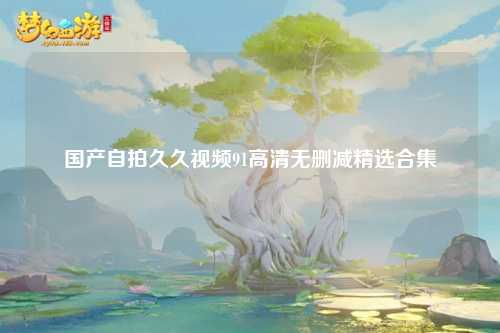 国产自拍久久视频91高清无删减精选合集