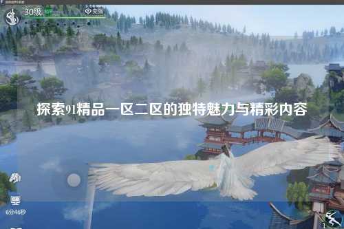 探索91精品一区二区的独特魅力与精彩内容