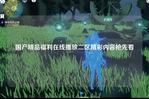 国产精品福利在线播放二区精彩内容抢先看