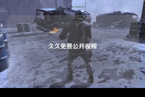 久久免费公开视频