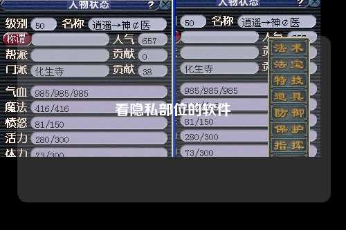 看隐私部位的软件