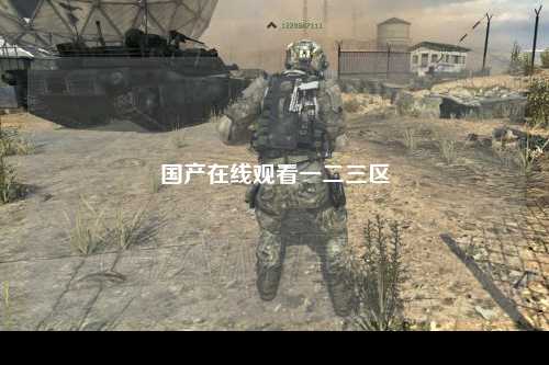 国产在线观看一二三区