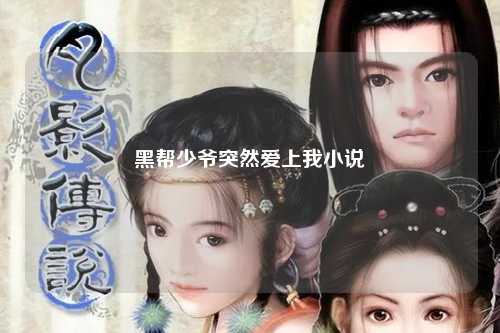 黑帮少爷突然爱上我小说