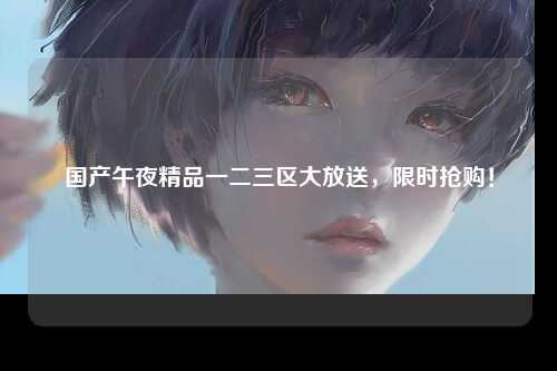 国产午夜精品一二三区大放送，限时抢购！