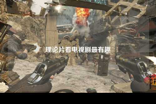 理论片看电视剧最有趣
