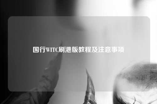 国行WITC刷港版教程及注意事项
