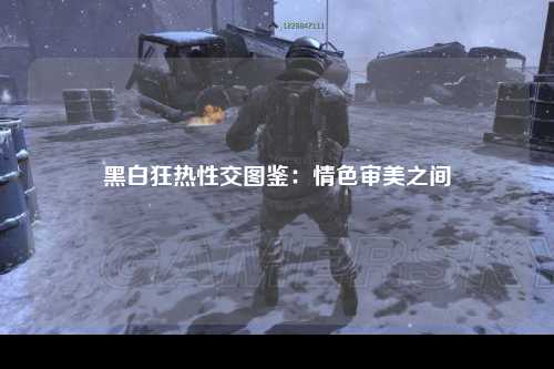 黑白狂热性交图鉴：情色审美之间