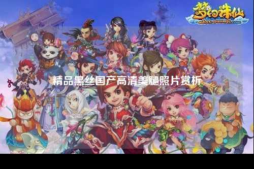 精品黑丝国产高清美腿照片赏析