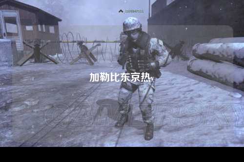 加勒比东京热v